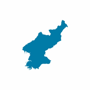 Kuzey Kore Vizesi
